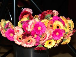 DSC09127